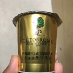 北海道乳業　THÉOBROMA　ショコラプリン
