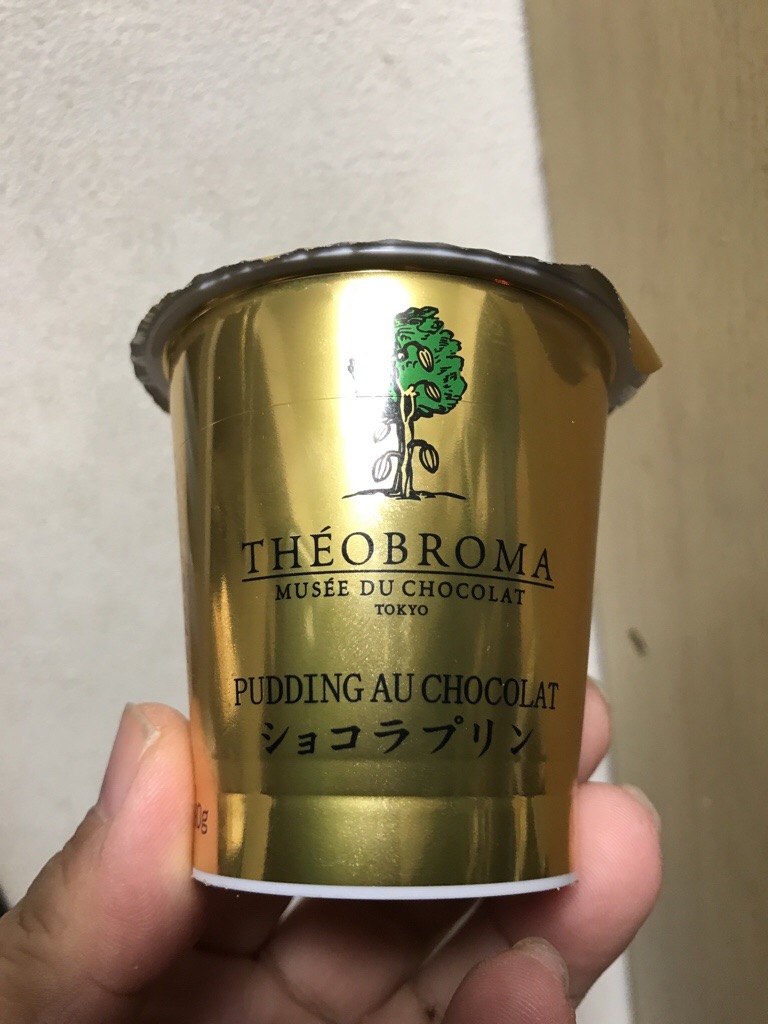 北海道乳業　THÉOBROMA　ショコラプリン